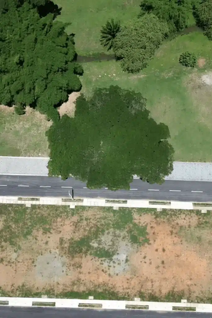 2-2 lotes en jamundí