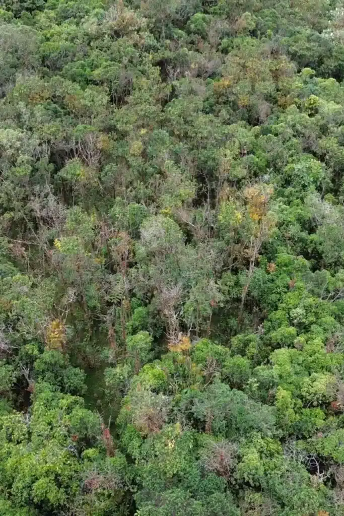 26 reservas de ilama condominio campestre