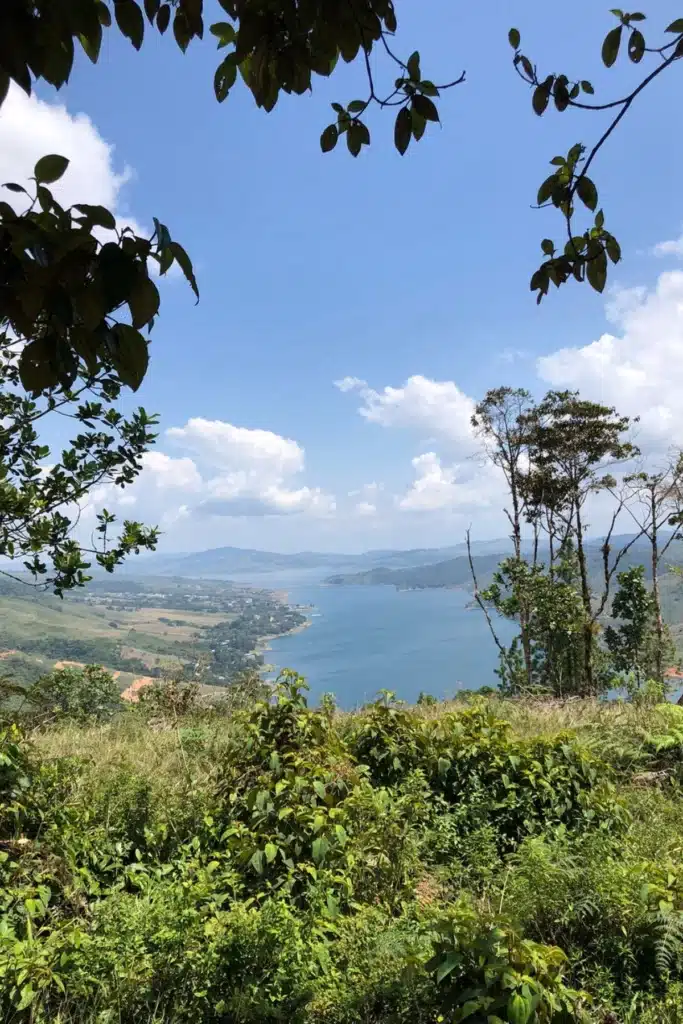 7-3 reservas de ilama