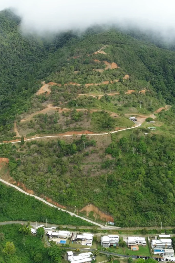 800x1200px pagina web