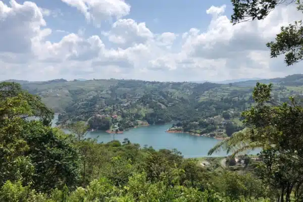 lotes reservas de ilama