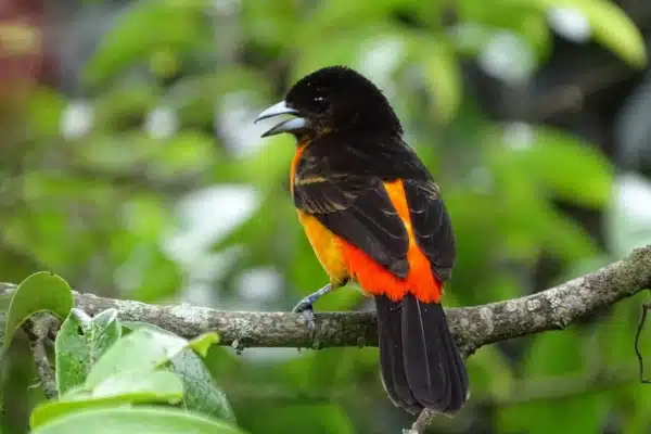 comprometidos con el medio ambiente