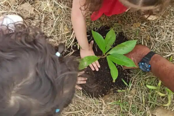 sucol compromiso ambiental