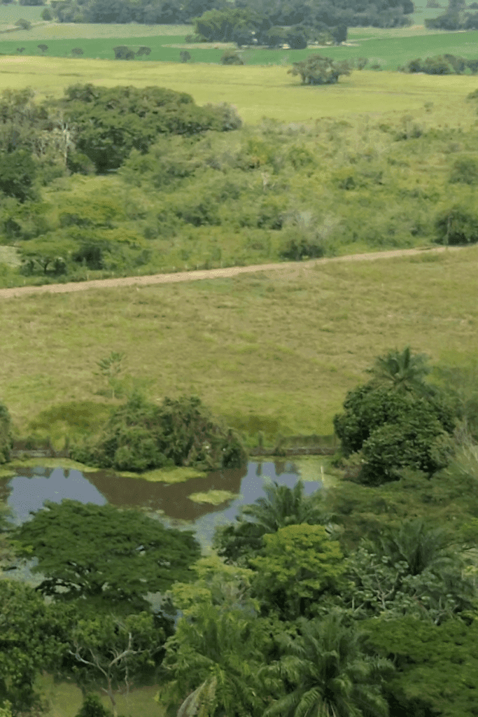 5 Vista aérea del desarrollo urbanístico del proyecto Bora.