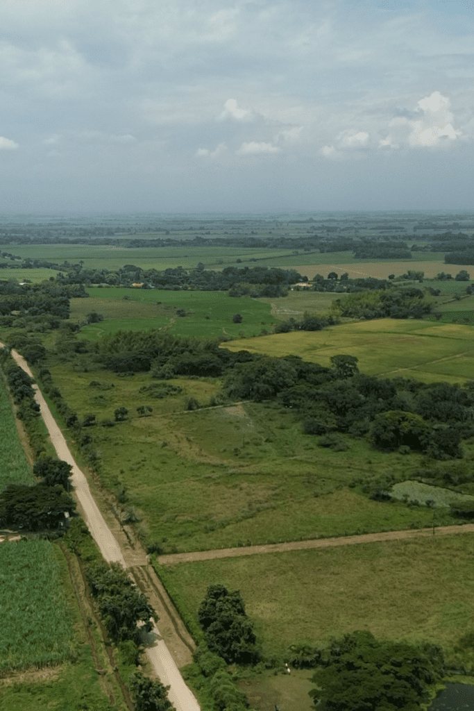 6 Vista aérea del desarrollo urbanístico del proyecto de lotes Bora, jamundí