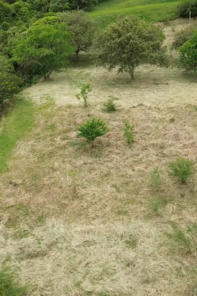 14 Proyecto Colina Campestre Buga - Sucol