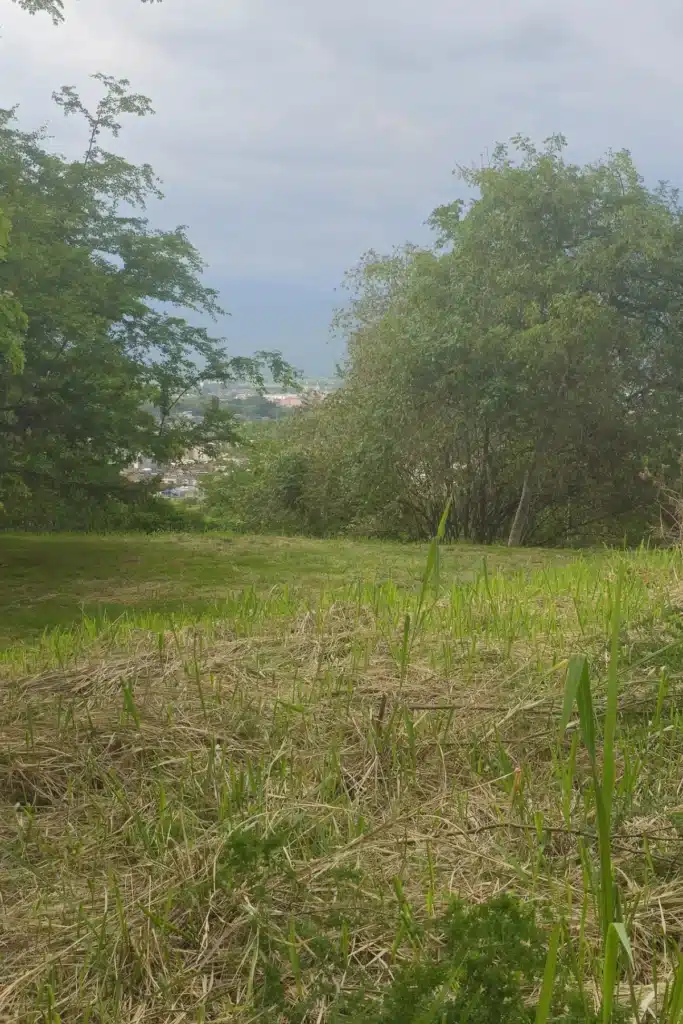 3 Parcelación Colina Campestre Buga - Sucol