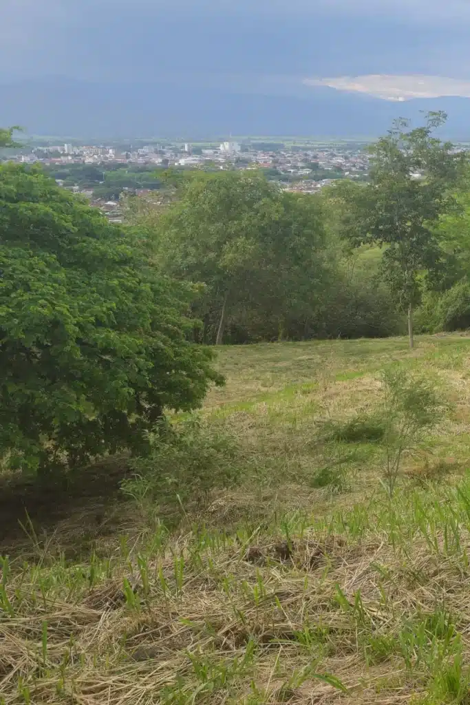 4 Parcelación Colina Campestre Buga - Sucol