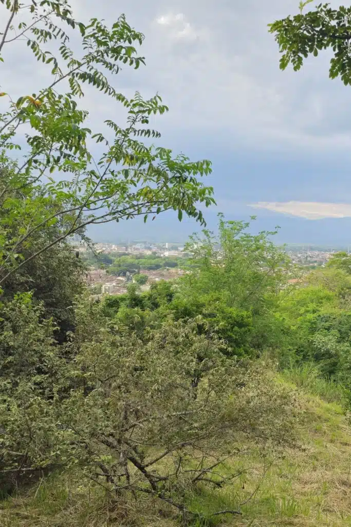 6 Parcelación Colina Campestre Buga - Sucol