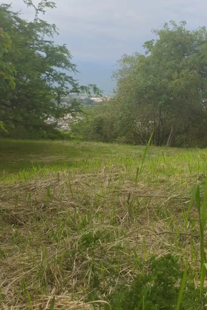 7 Parcelación Colina Campestre Buga - Sucol