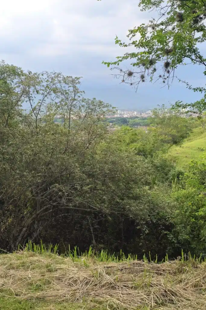 9 Parcelación Colina Campestre Buga - Sucol