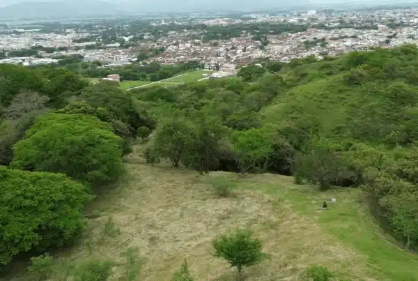 vista desde parcelación colina campestre - programa de referidos
