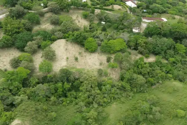 Parcelación Colina Campestre Buga - Sucol PROGRAMA DE REFERIDOS