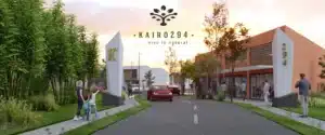 Kairo 294