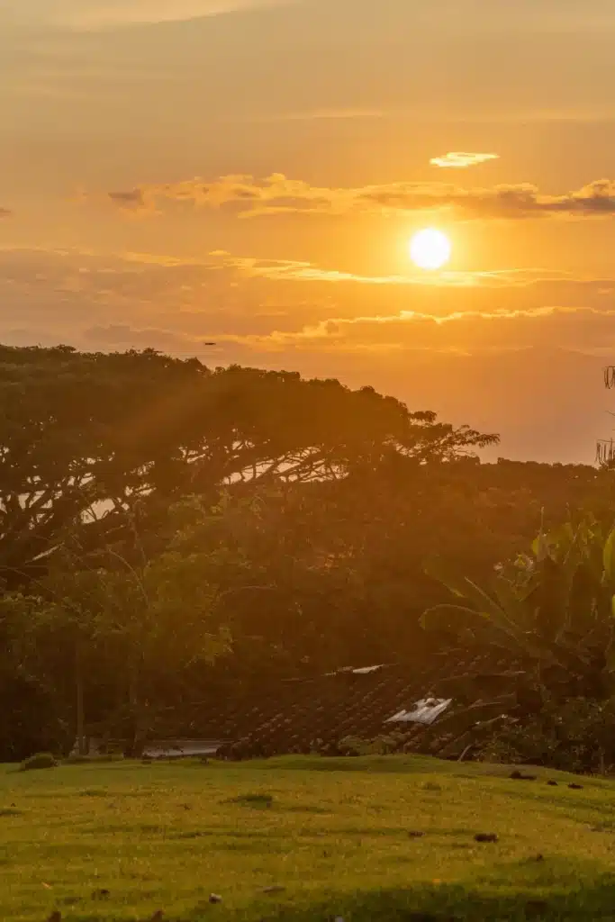 10 vientos de ginebra