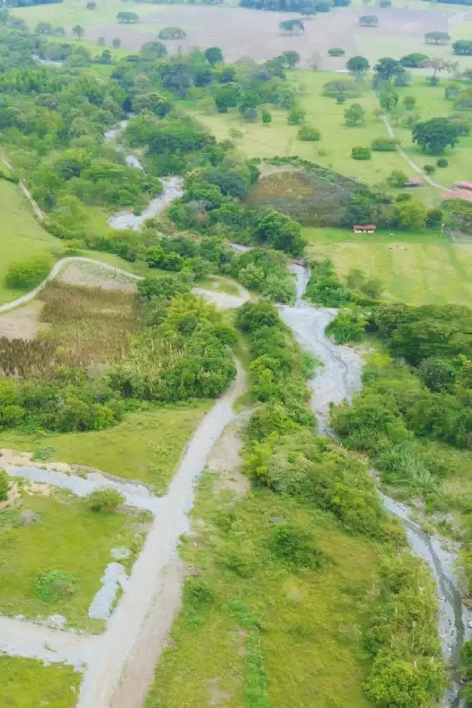 15 vientos de ginebra