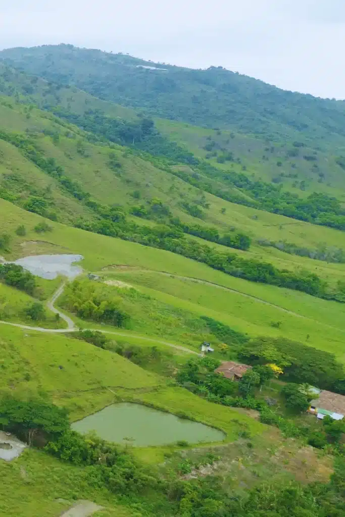 16 vientos de ginebra