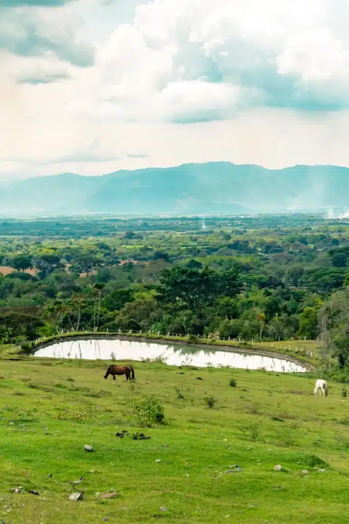 7 vientos de ginebra