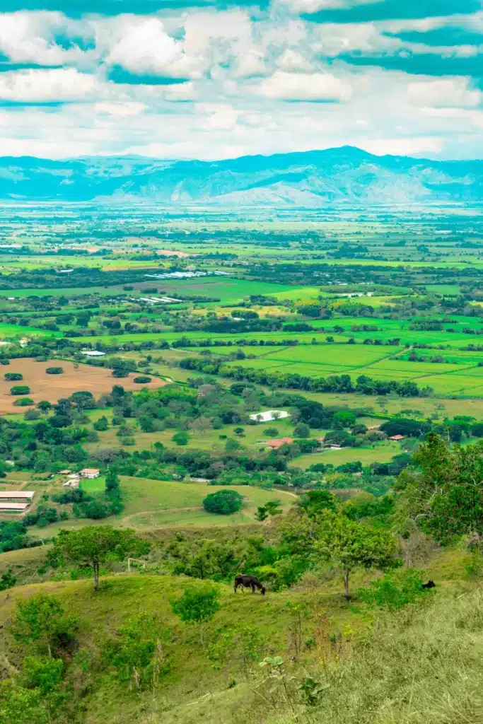 8 vientos de ginebra