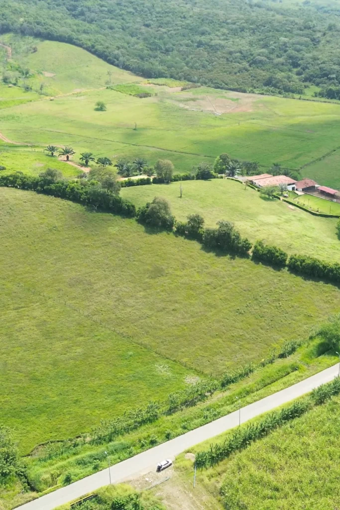 2 parcelación campestre Buenavista