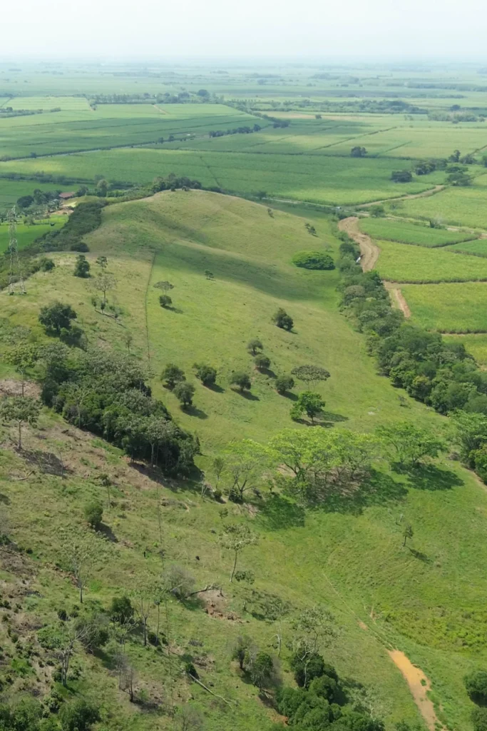 3 parcelación campestre Buenavista