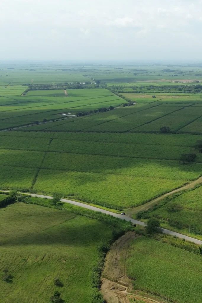 5 parcelación campestre Buenavista