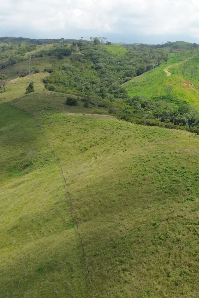 7 parcelación campestre Buenavista