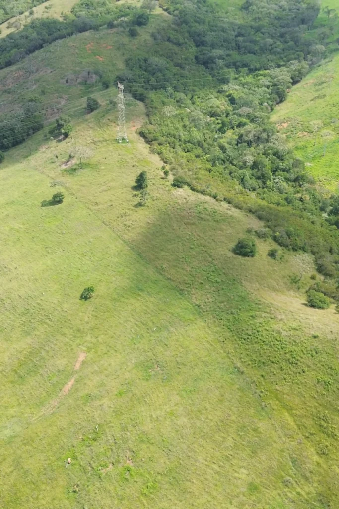8 parcelación campestre Buenavista