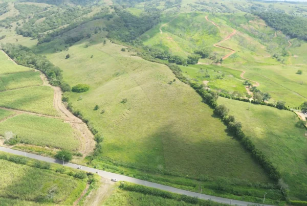 Parcelación buenavista 2025